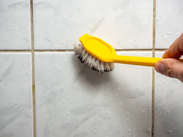 Best Residential Mold Removal  in Seacliff, CA