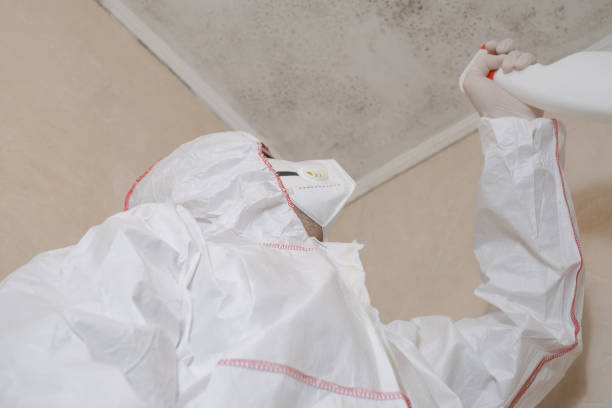 Best Mold Remediation  in Seacliff, CA